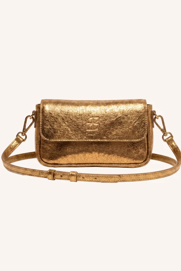 Jude_Metallic_Bag