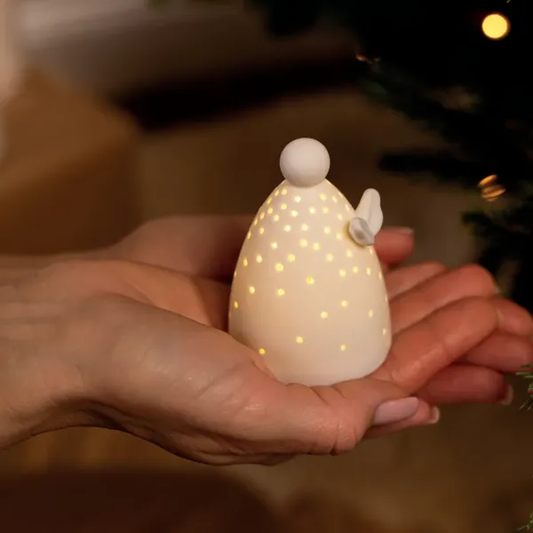 Mini_LED_Angel_of_light_D1_3