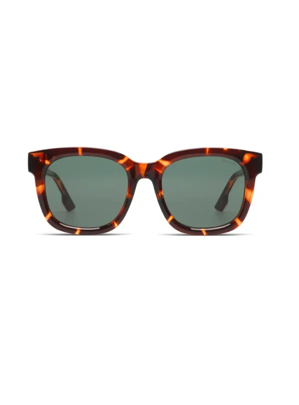 Sienna_Havana_1