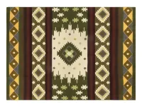 216_Plaid_Native_4