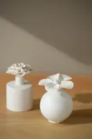 Air_Refresher_Chrysanthemum_1