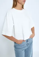 Gamma_Cropped_7