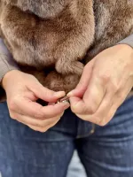 Isalys_Veste_5