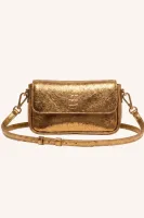 Jude_Metallic_Bag
