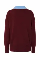 Kaimon_Polo