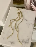 Lange_Fijne_Oorstekers_2