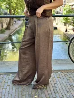 Lodi_Metallic_Pants_3
