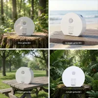 Nature_box_10