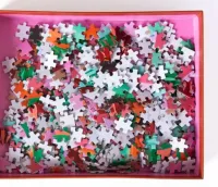 Puzzel_Tropical_1