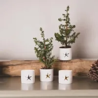 Small_Starlight__2pcs__Gold_4
