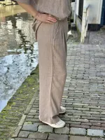 Viana_Ginia_Pleat_Pants_8