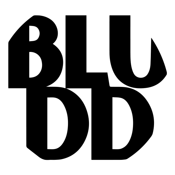 BLUDD logo